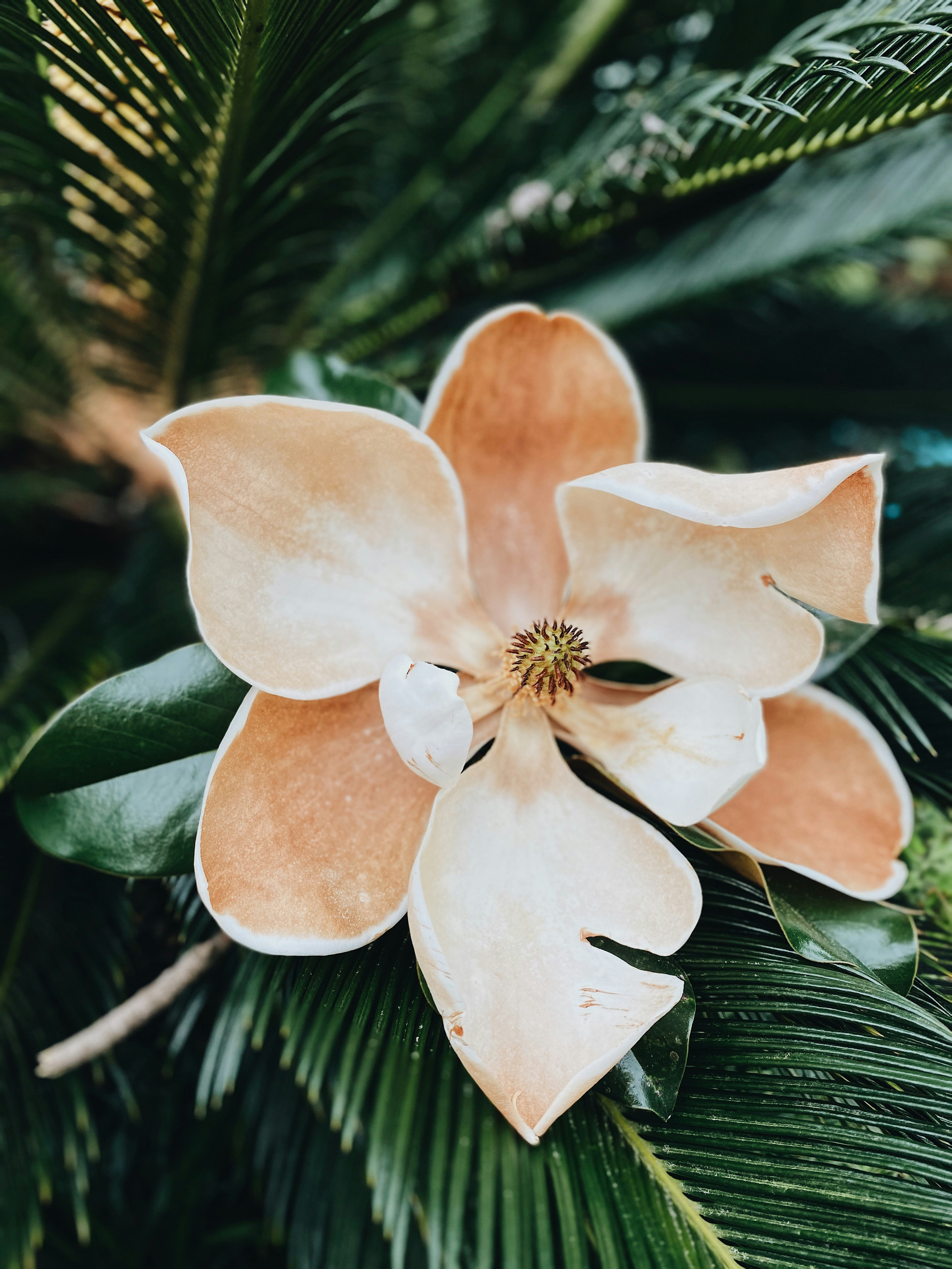 East Feliciana Parish Construction