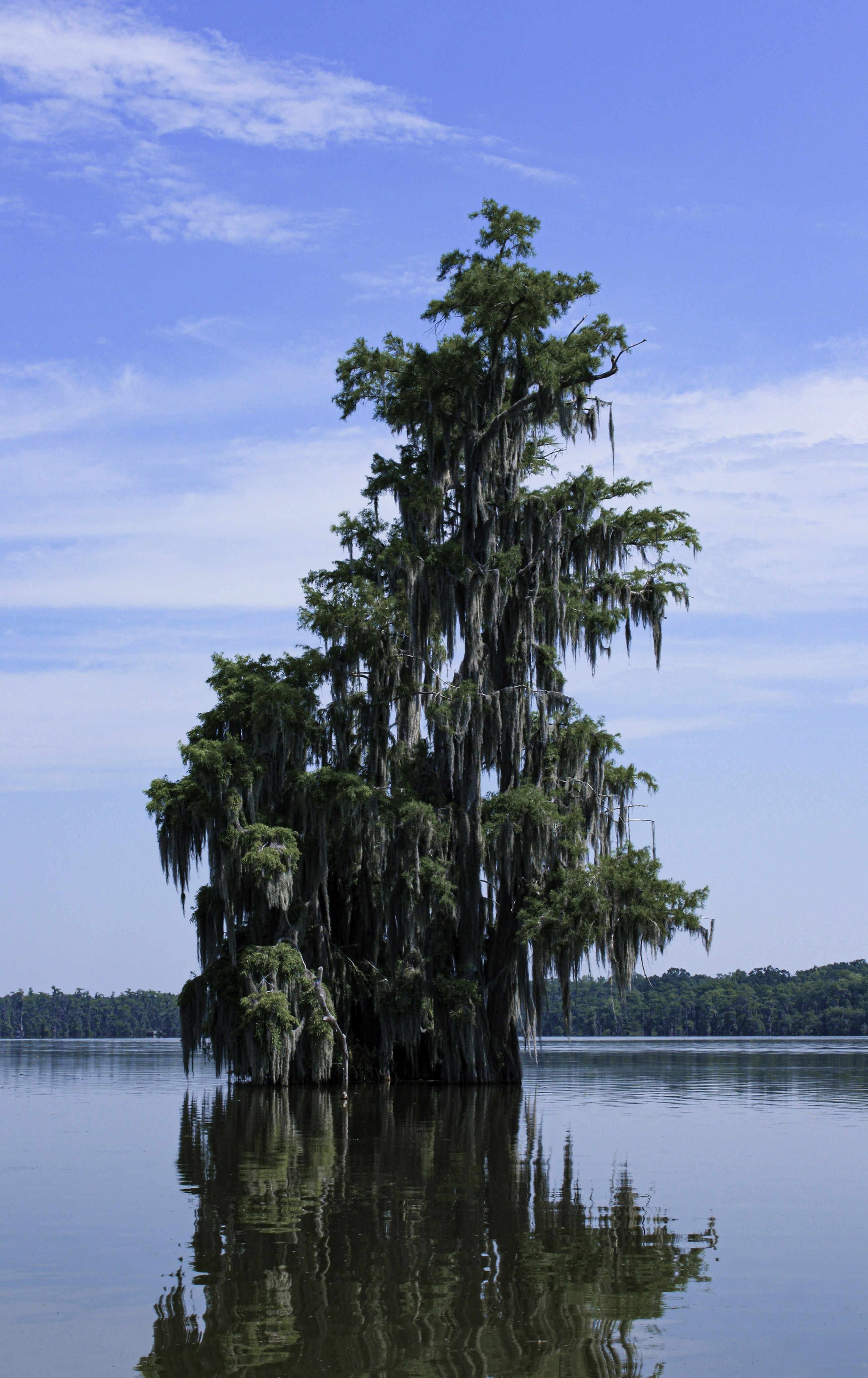 Saint Helena Construction