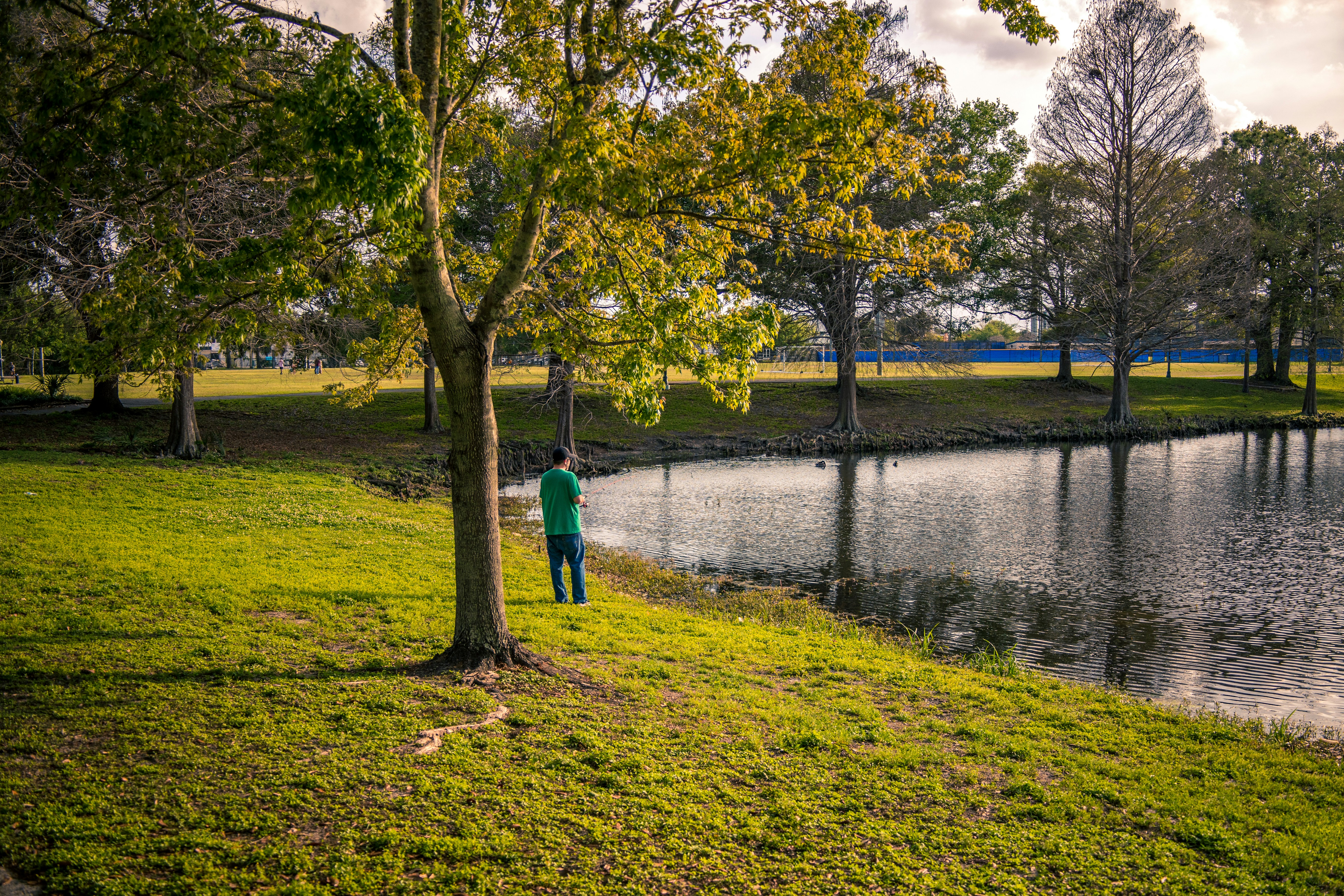 a man standing next to a tree near a lake