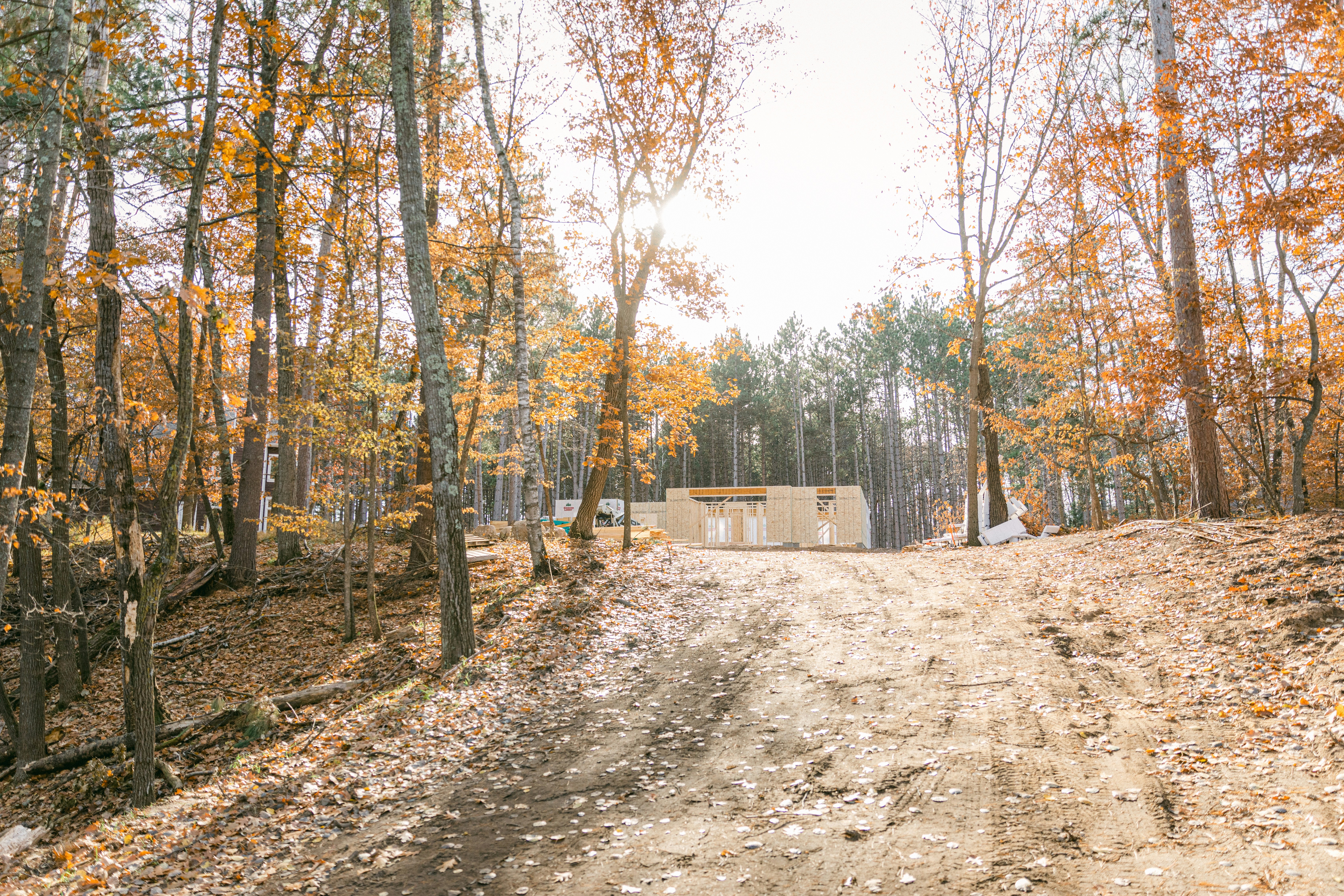 a dirt road in the middle of a forest