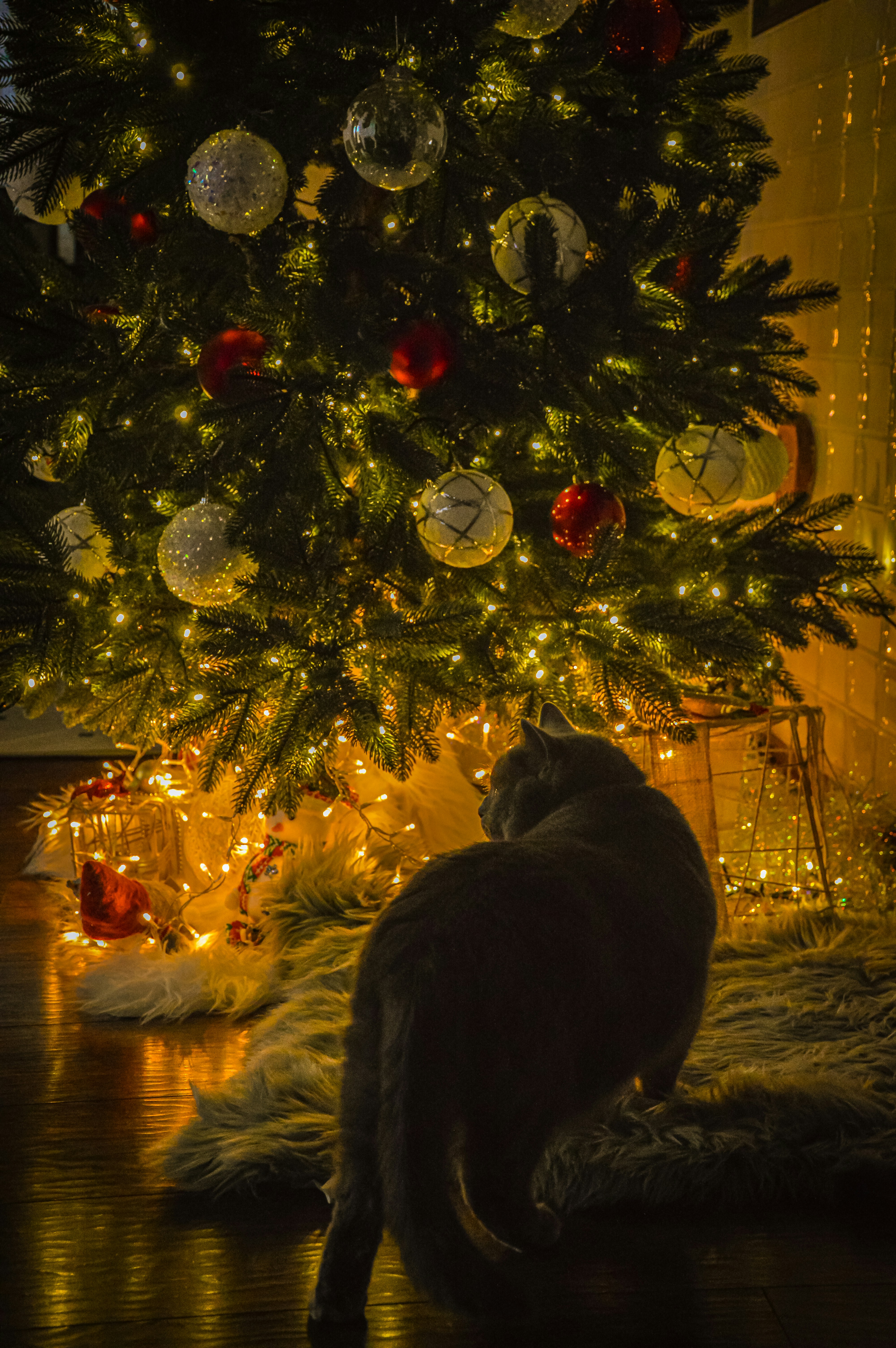 a cat is sitting under a christmas tree