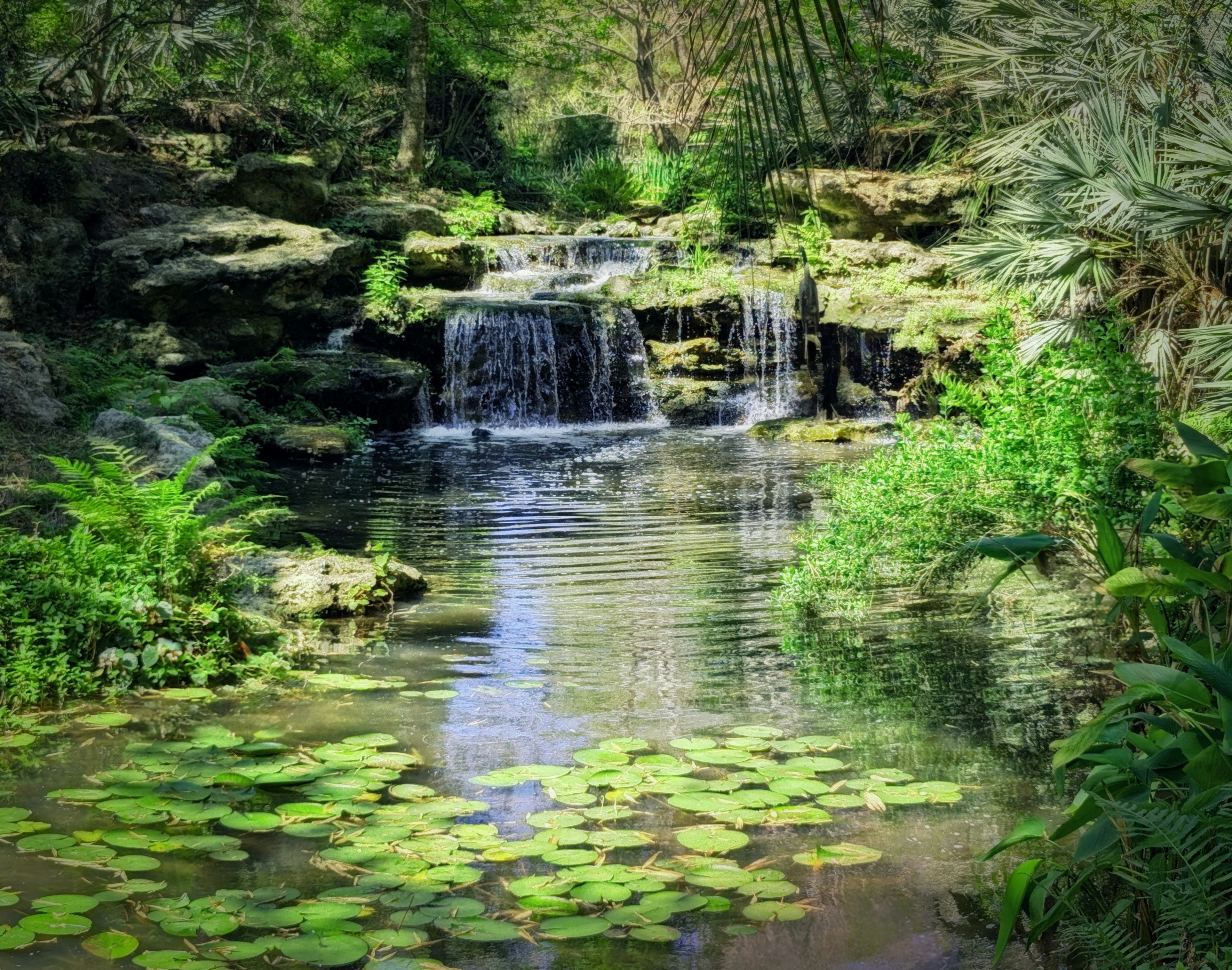 A lush waterfall flows into a peaceful pond.