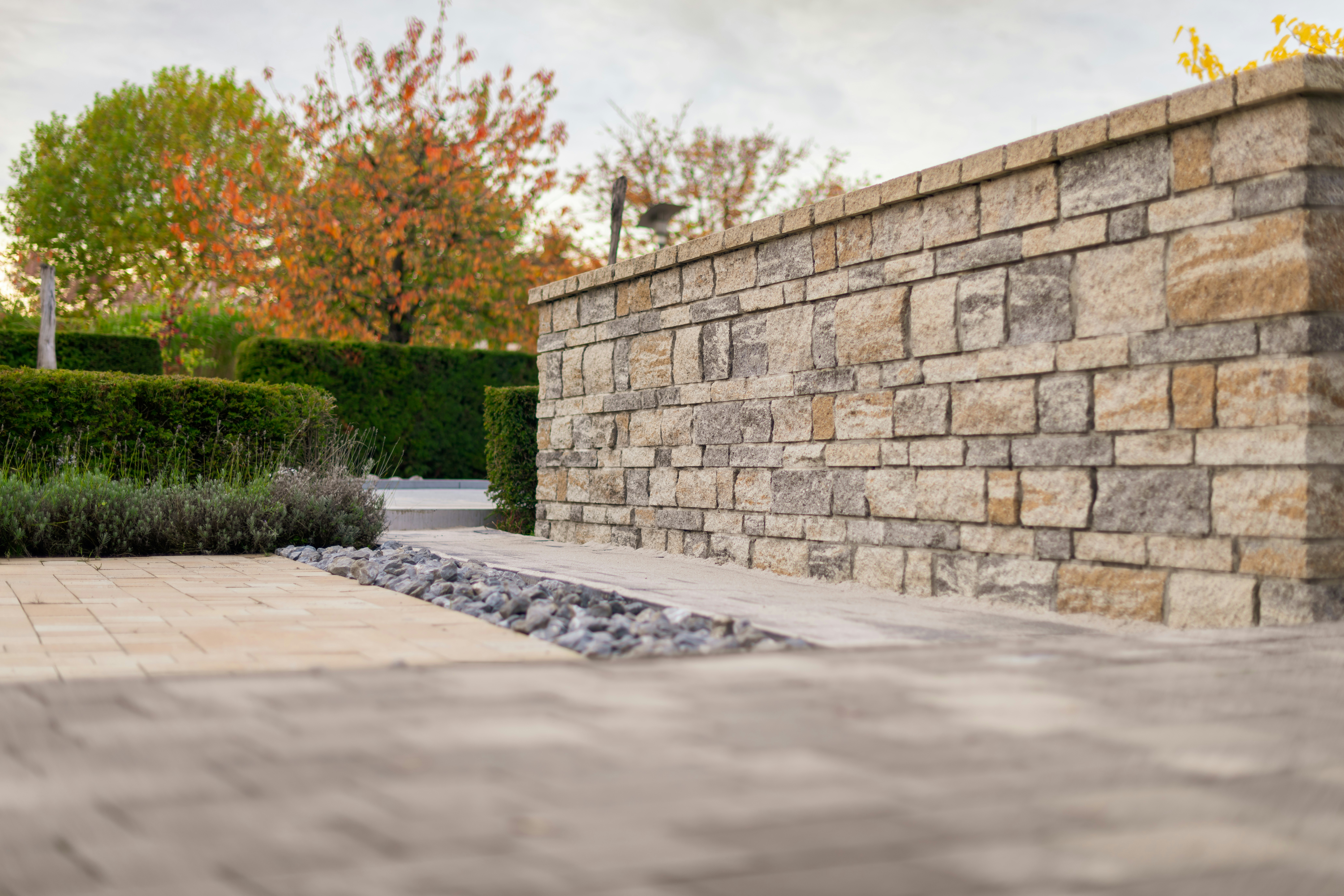 Stone wall with autumn trees and manicured hedges