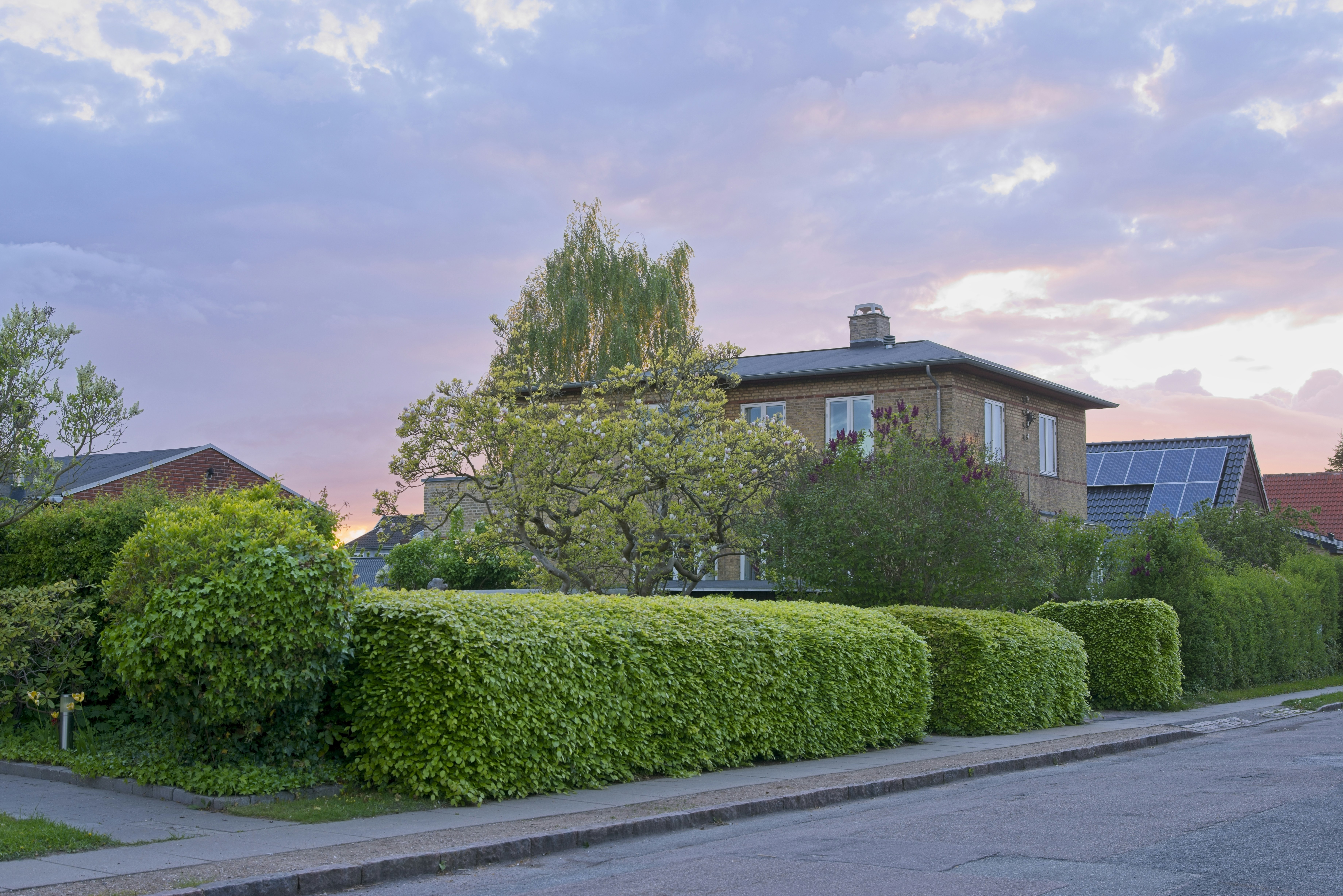 Houses with green hedges and trees under a colorful sky