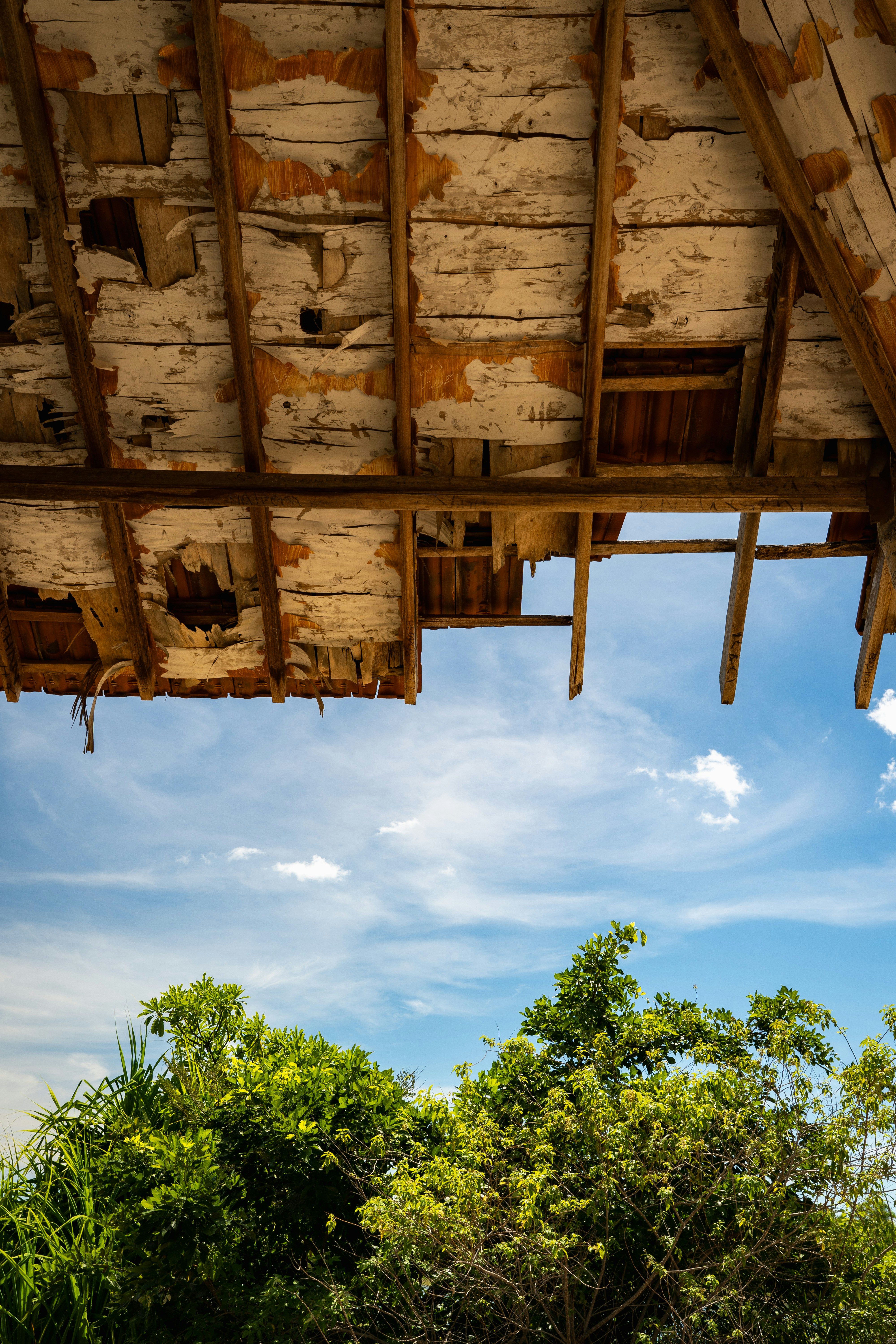 Damaged wooden roof framing vibrant green trees and blue sky.